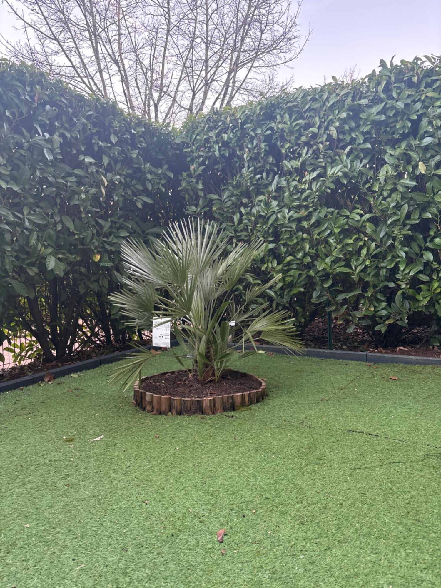 Romantisme Et Glamour Avec Spa ,Jardin Proche Zenith Dijon Exteriör bild